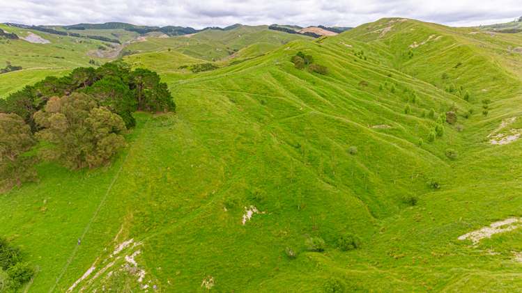 1655 Annedale Road Tinui_3