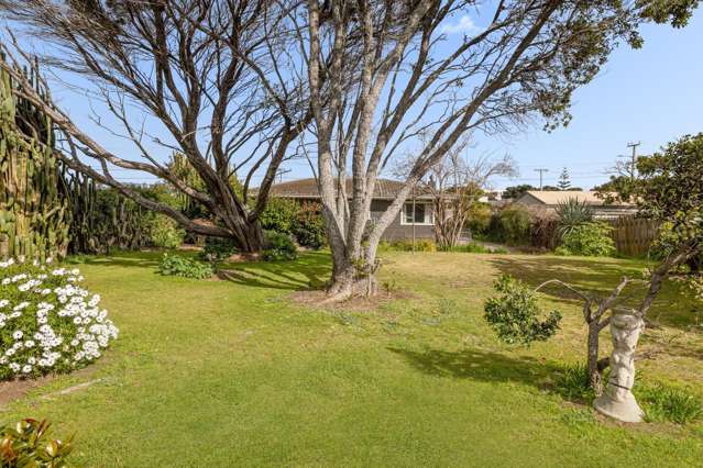 13A Links Avenue Mt Maunganui_3