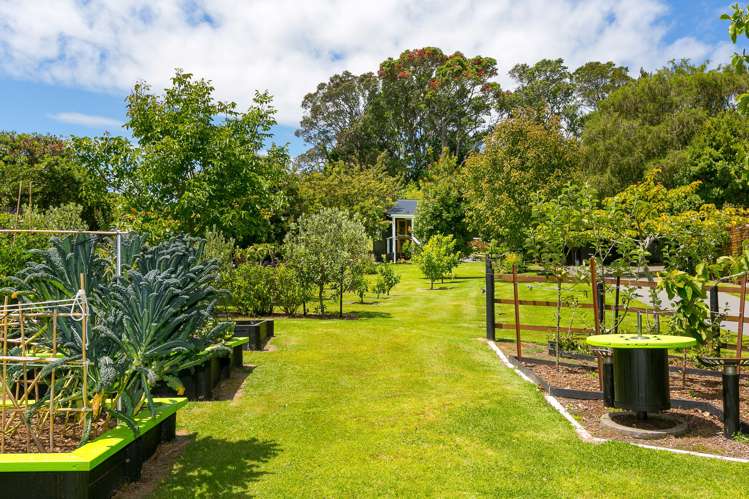 3 Burgess Hill Road Burgess Park_14