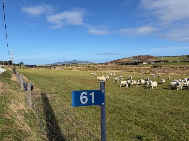 Coastal lifestyle block – views, power, fenced