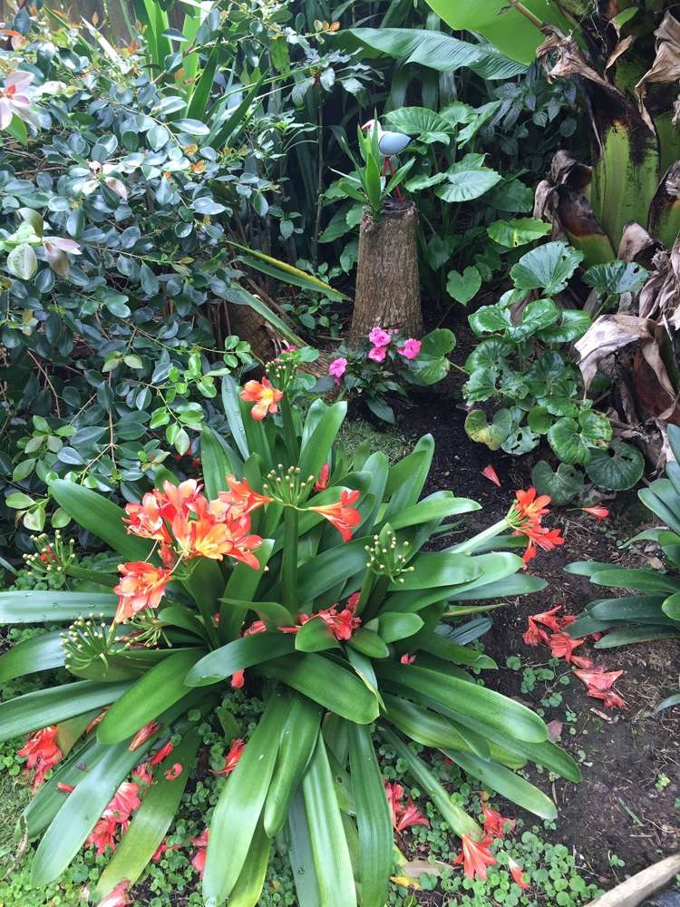 18 Halyard Loop Haruru_20