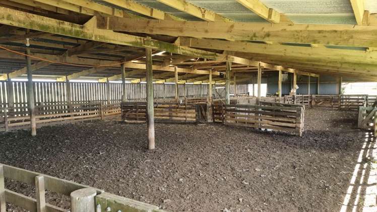 290 Hillcrest Road Waiotira_12