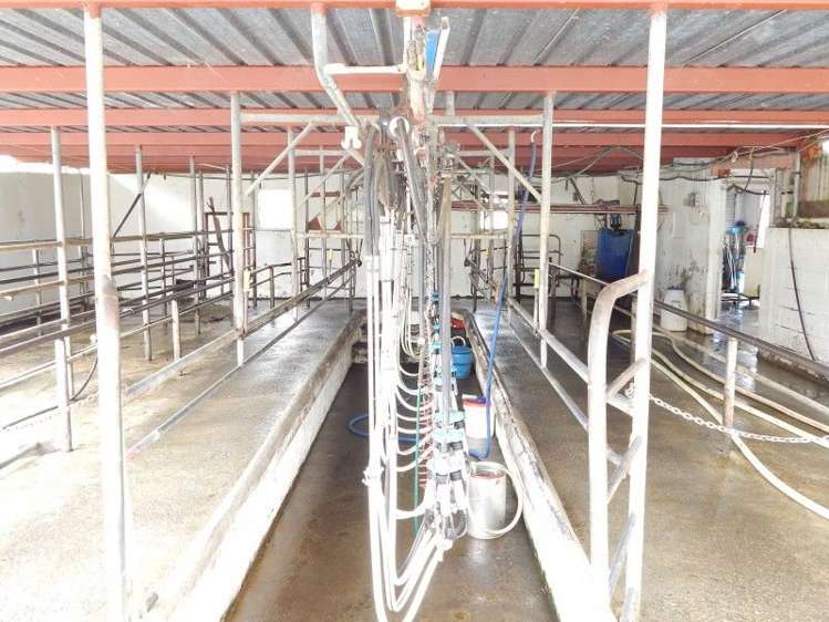 155a Marchant Road Kaitoke_9