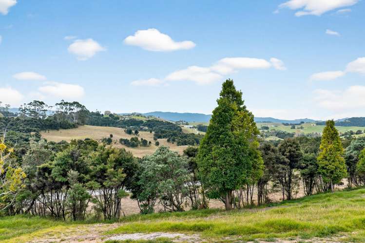 Mangawhai Bush Estate Mangawhai_26