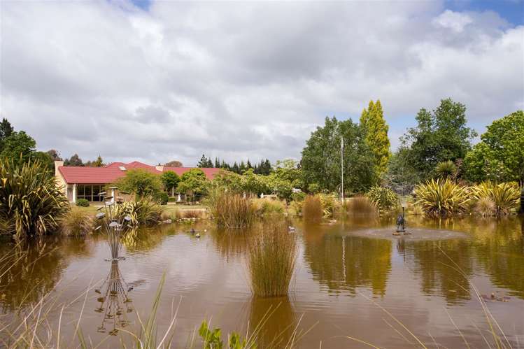 49 Roscrea Place Swannanoa_26