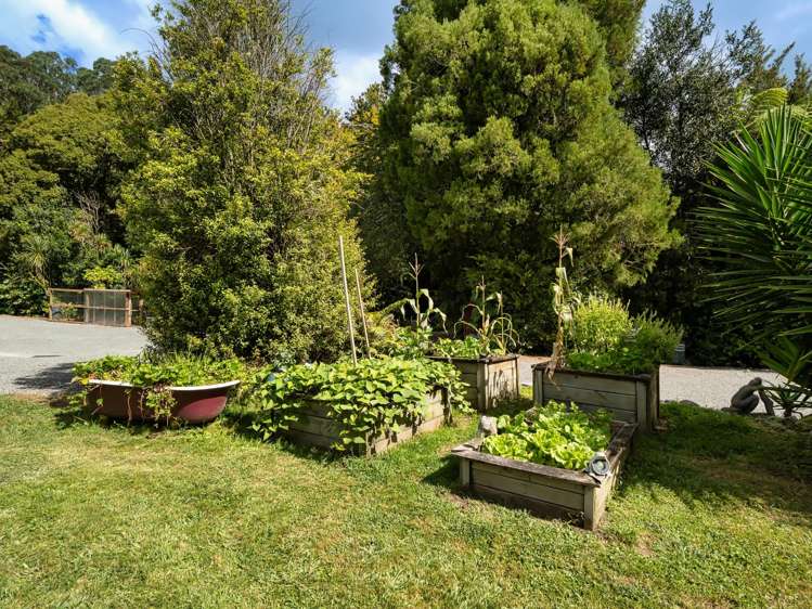 217 Soldiers Road Lower Kaimai_30