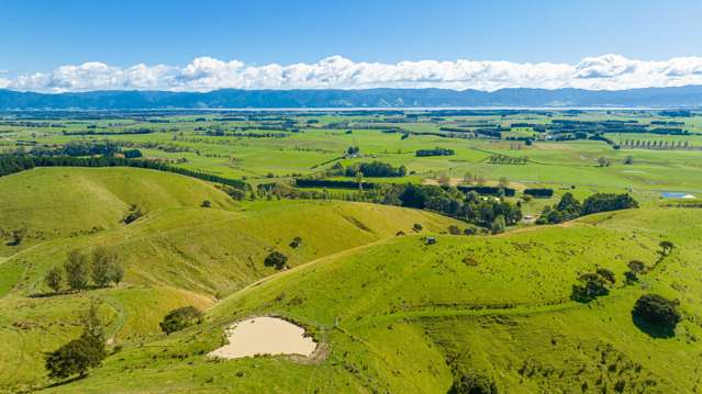 Lake Ferry Road Martinborough_3