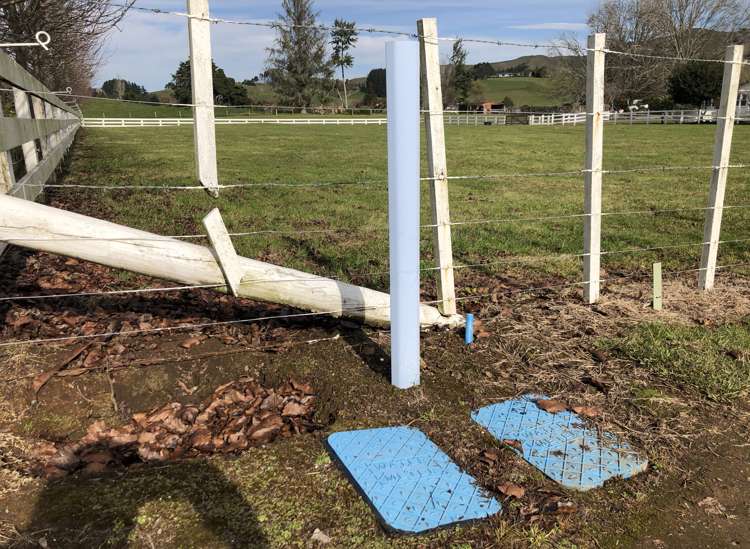 100 Baffin Street Pirongia_13