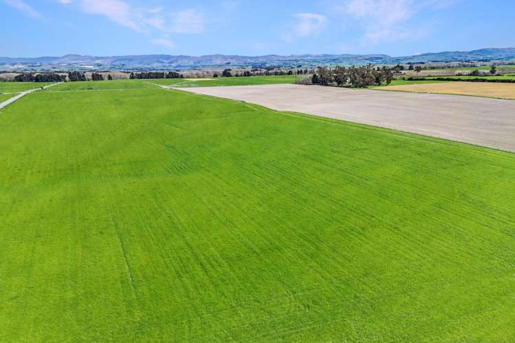 56 Opihi Terrace Road_4