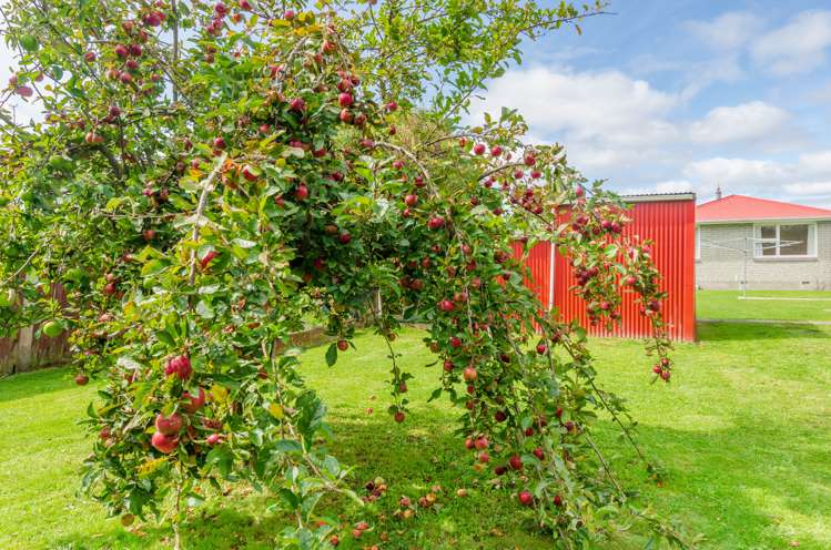 16 Whitefield Street Kaiapoi_13