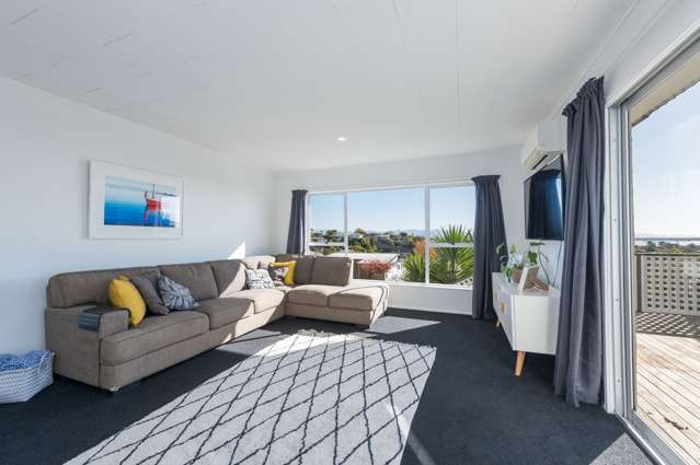 51 Marlborough Crescent Richmond_3