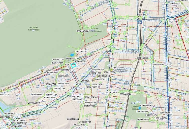 20 Wingate Street Avondale_27