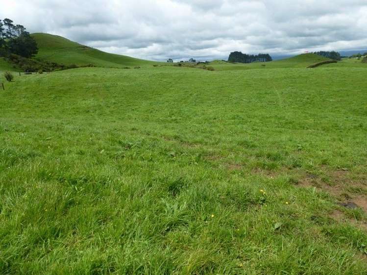 1265 Mountain Road Inglewood_20