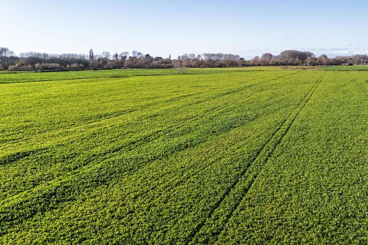 Pareora River Road Southburn_5