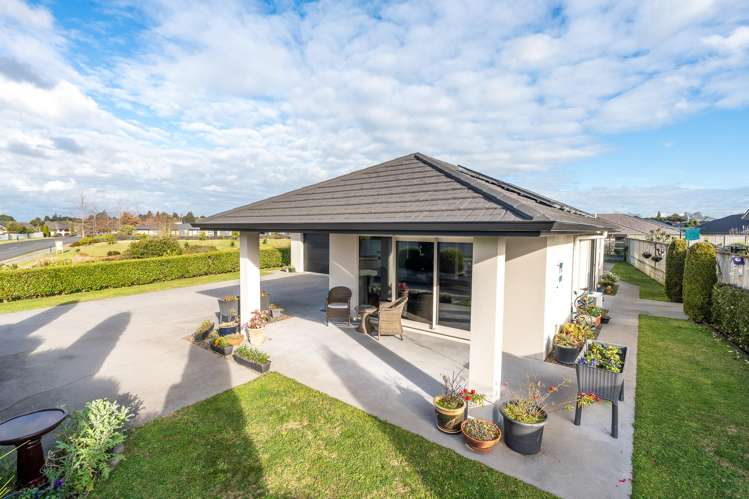 390 Swarbrick Drive Te Awamutu_1
