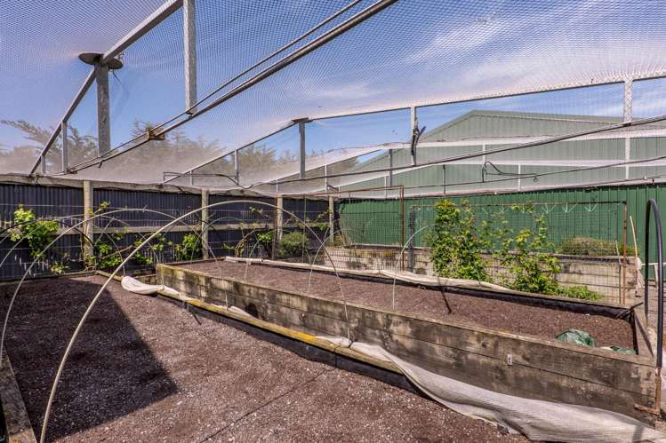 412 Corbetts Road South Wakanui_36