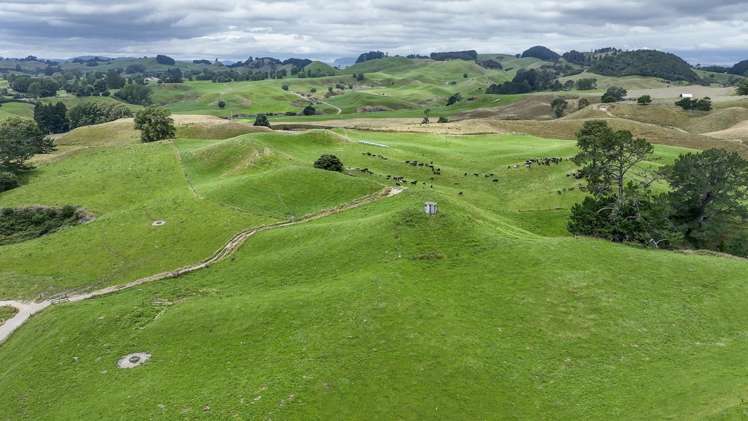 290 Parsons Road Atiamuri_13