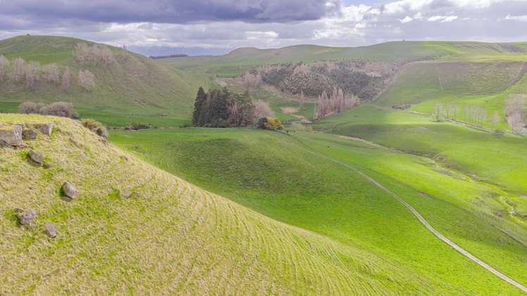 352 Hatuma Road Waipukurau and Surrounds_14