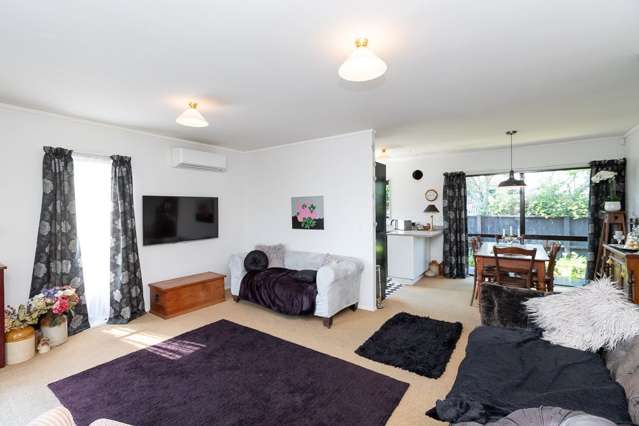 4a Pearsons Avenue Claudelands_2