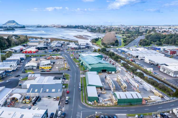 14 Birch Avenue Tauranga_17