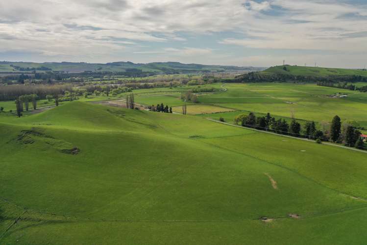 22 Hazelburn Road Pleasant Point_21