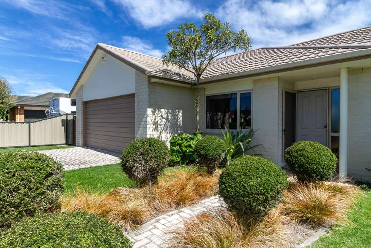 253 Guppy Road Taradale_3