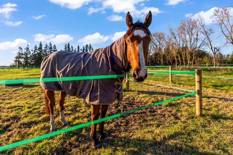 45 Paetai Road Ohinewai_32