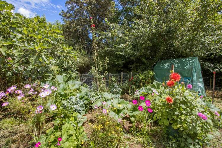 14a Buller Street Waihi_3