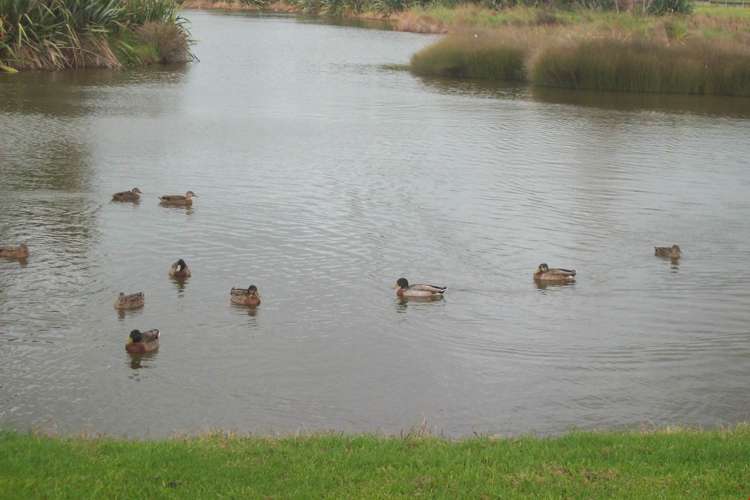 16 Avonglen Court Wattle Downs_20