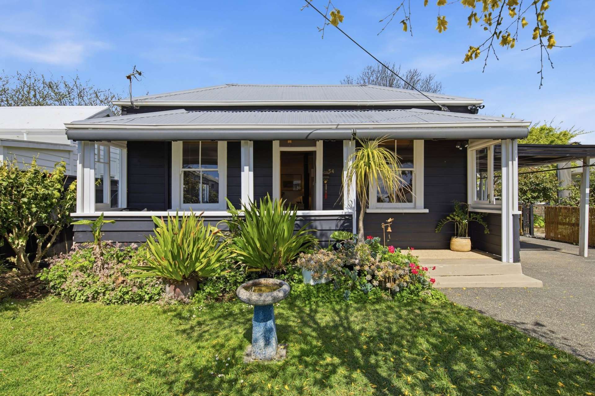 54 Wingate Street Avondale_0