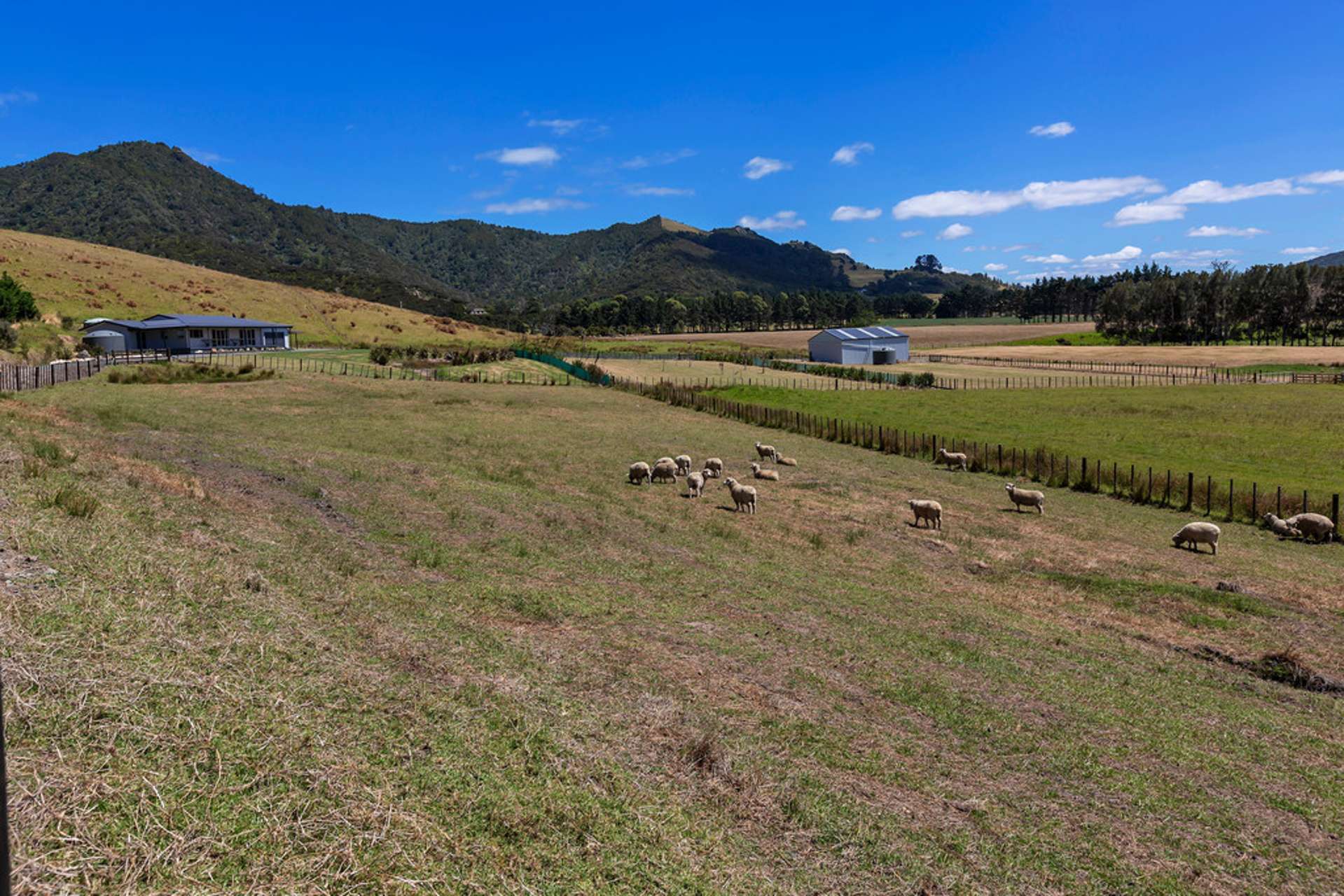 73 Blue Horizon Road Whangarei Heads_0