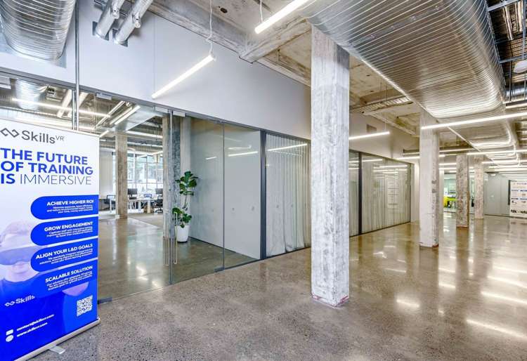 24 Balfour Road Parnell_8