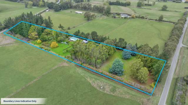161 Ward Road Cheviot_3