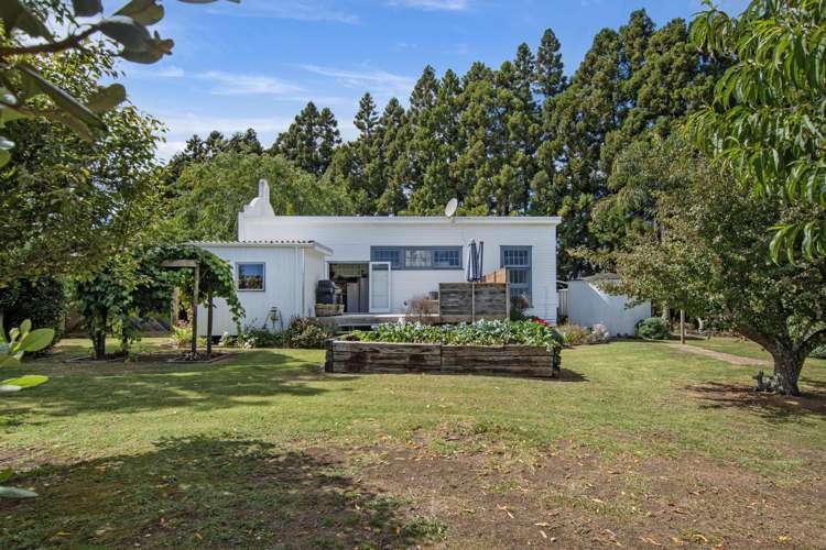 133 Apotu Road Kauri_20
