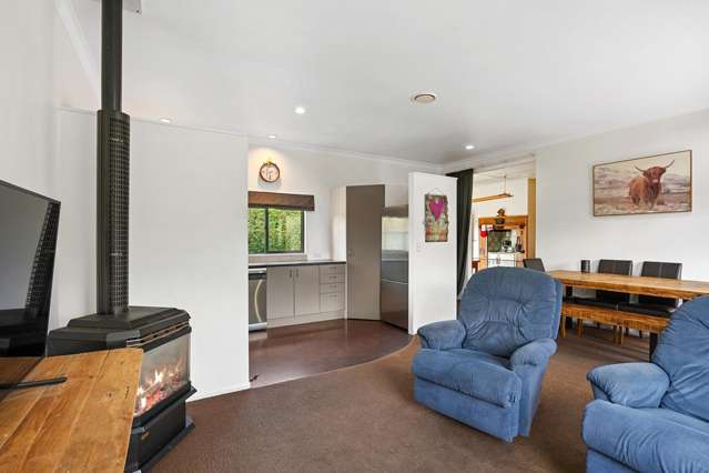 14 Homebush Road Glentunnel_4