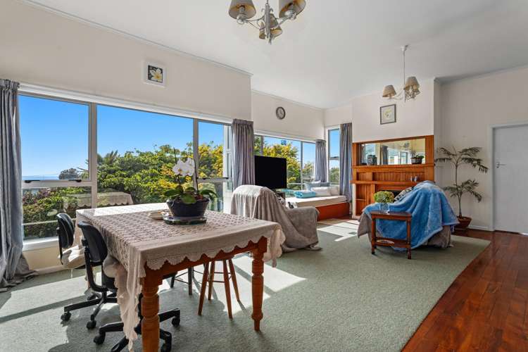 244 Pohutukawa Avenue_5