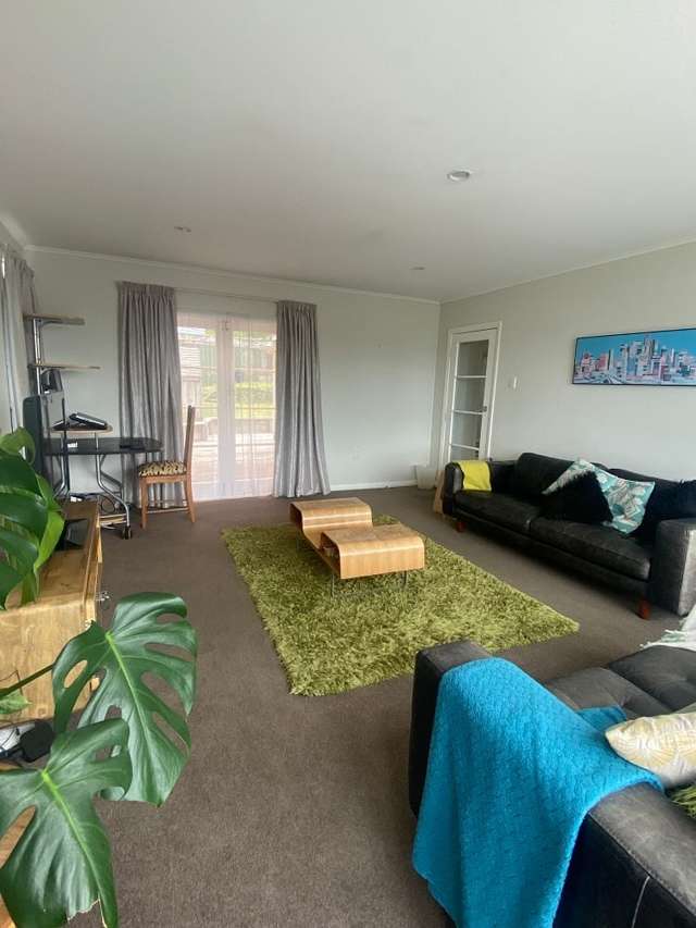 69 Homebush Road Khandallah_2