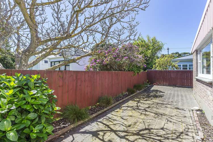 53b Darlington Road Miramar_9