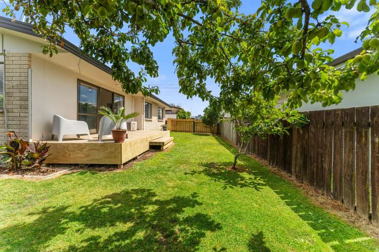 45b Pooles Road Greerton_19