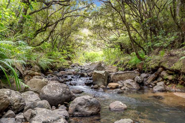 5 Silverstream Falls Row Whenuakite_18