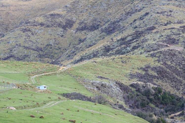 483 School Road Fairlie_5