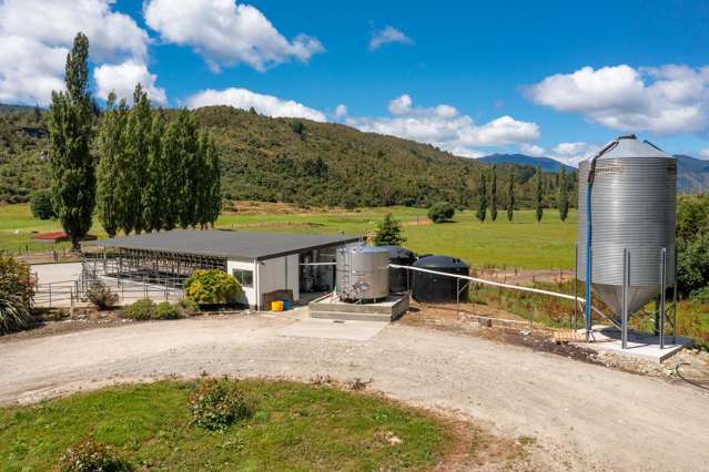 1153 Shenandoah Highway Murchison_3