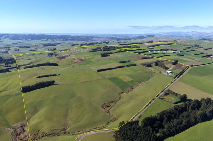 169 Charters Road Waikoikoi_8