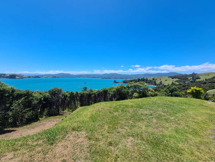 6 Ara Kohekohe Coromandel_9