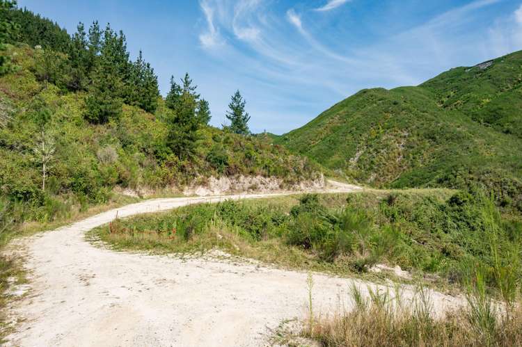 297 Graham Valley Road Motueka Valley_23