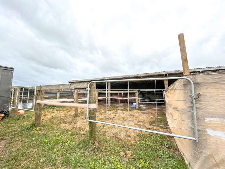 307 O'Donoghue Road Hauraki Surrounds_15