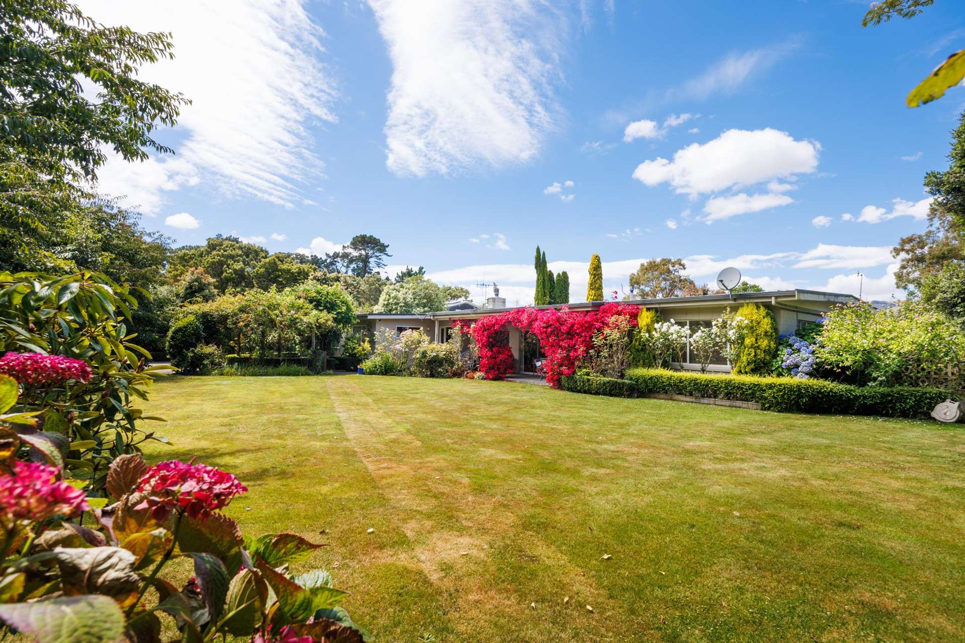 1498 Napier Road Ashhurst_0