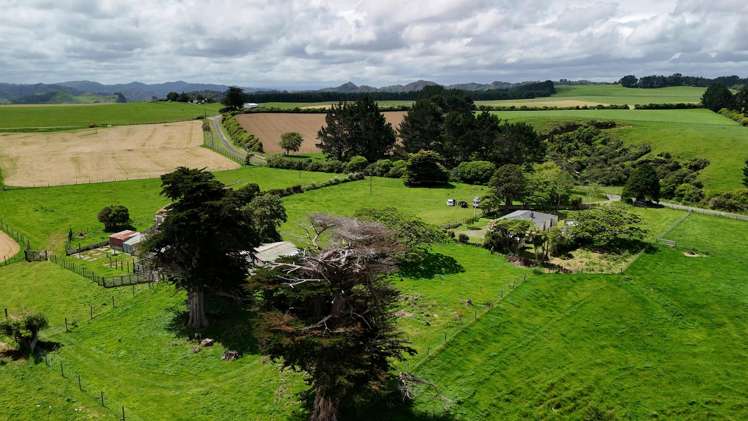 1173 Karahaki Road Waverley_20