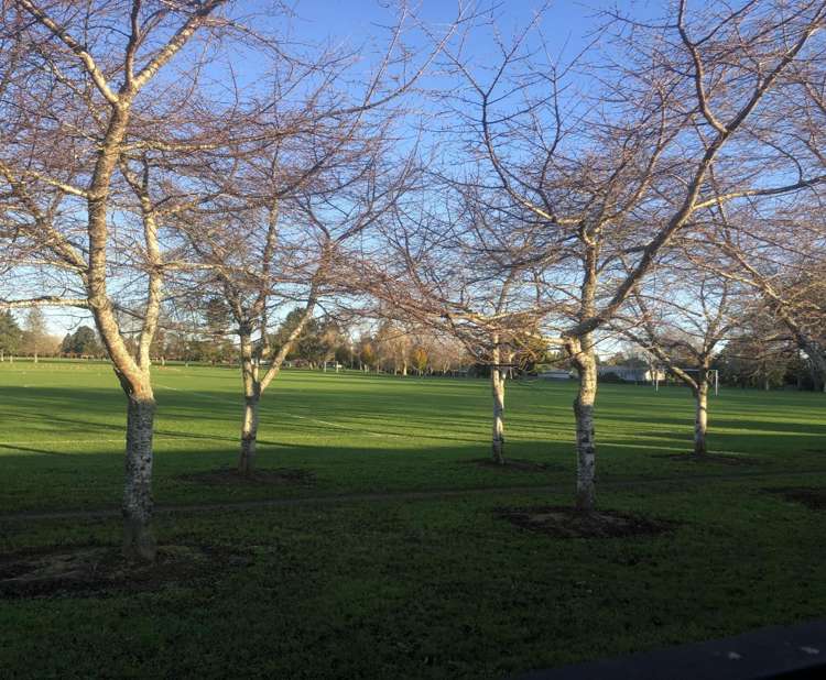 136A Masters Avenue 1146_16