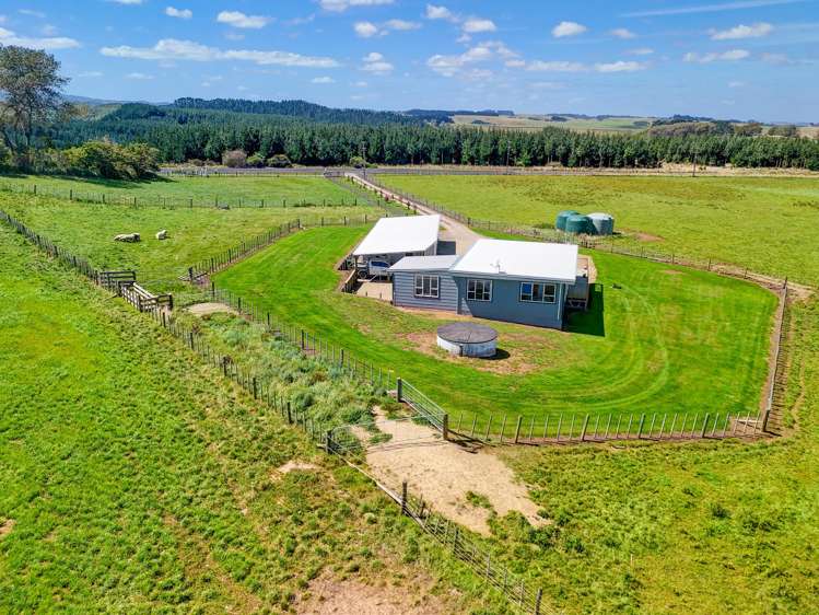 311 Rangitatau West Road Maxwell_15